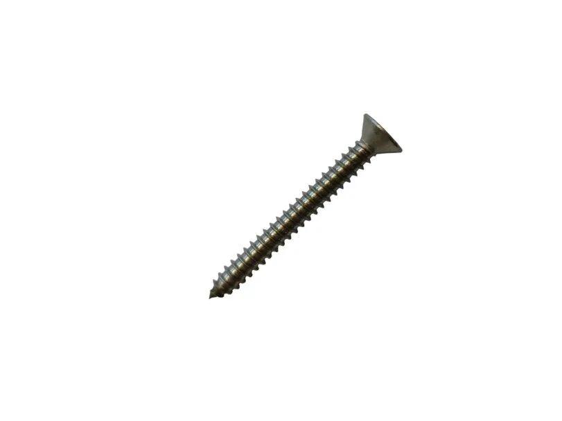 Redland Screw (Stainless Steel) (100)